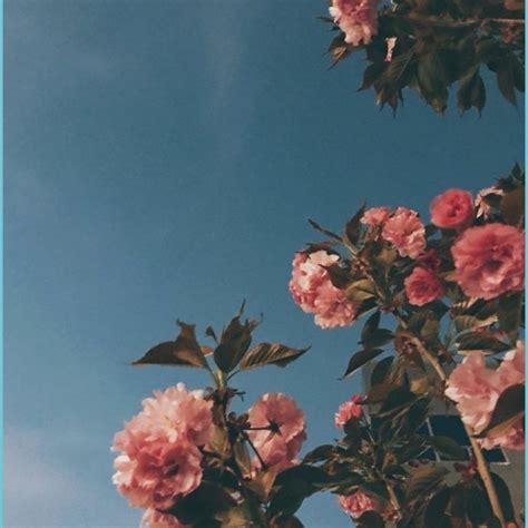 Pastel Flowers Aesthetic Laptop Wallpaper