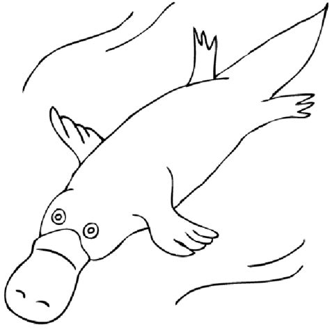 Platypus Coloring Pages | Clipart Panda - Free Clipart Images ...