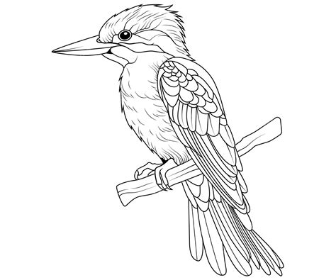 Premium Vector | Hand drawn outline of kingfisher