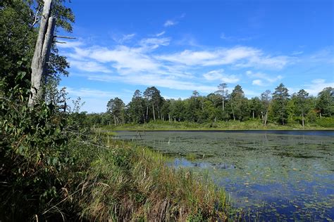 The Continuing Adventures of Eric, Noelle and Sierra: Itasca State Park ...