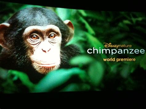 Disneynature's Chimpanzee Film Review & Trailer - #DisneyGlobalEvent - Mom's Blog