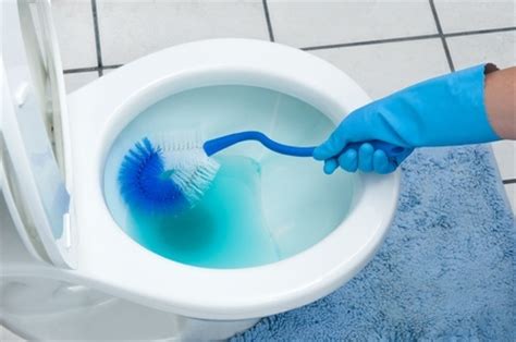 Easy Toilet Cleaning Tips