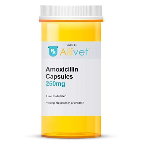 Amoxicillin Capsules for Dogs, Cats & Pets - 250 mg, 500 mg | Allivet