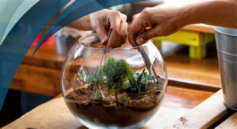 DIY bottle terrariums make great projects, gifts | Over the Garden ...