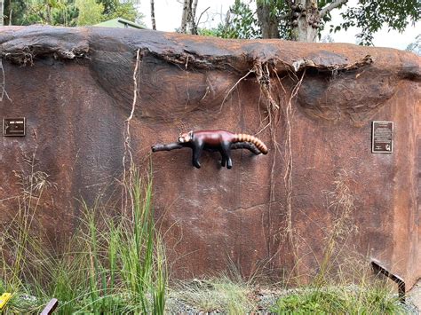 Red Panda Sculpture Unveiled - Dublin Zoo