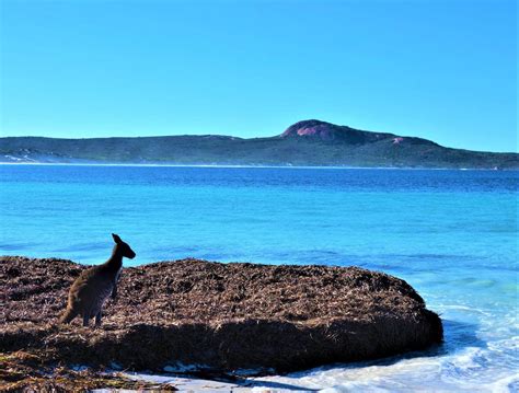 Cape Le Grand National Park - Glücksgefühle an der Lucky Bay!