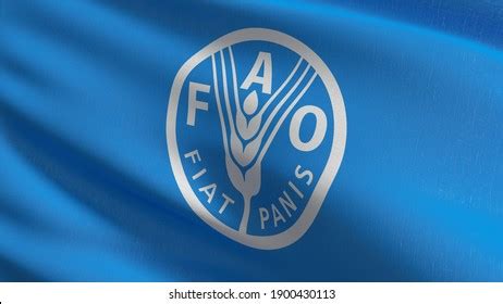 1,152 imágenes de Fao fao - Imágenes, fotos y vectores de stock | Shutterstock