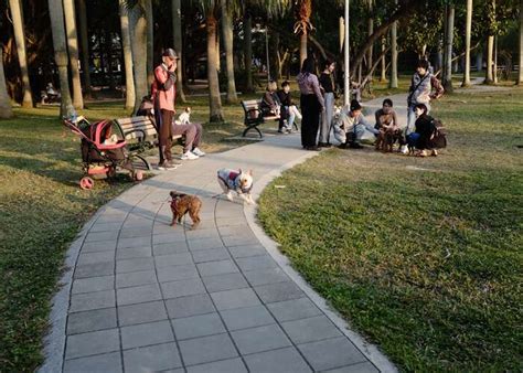 Top 5 Off-Leash Dog Parks For Your Furry Friend – Top Dog Tips