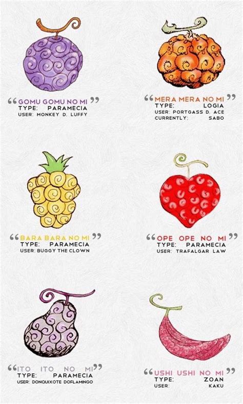 One Piece Devil Fruit Types