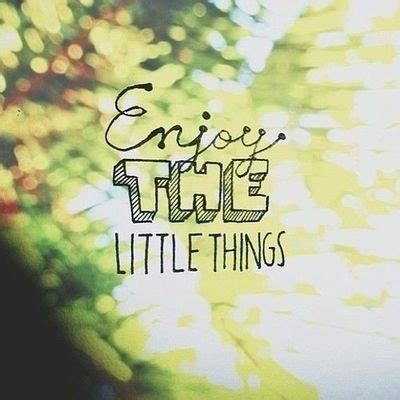 Enjoy The Little Things Quotes. QuotesGram