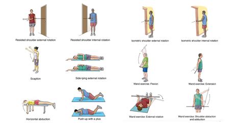 Shoulder Horizontal Abduction Exercises – Online degrees