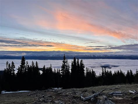 Sunrise on Mt Elbert northeast ridge trail, just above the treeline ...