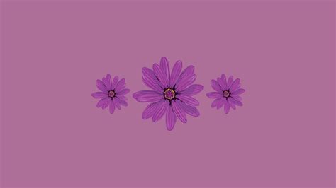 20 Cute Purple Aesthetic Wallpaper Desktop (FREE) - Nikki's Plate