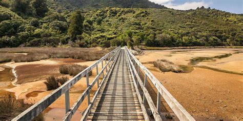 10 Stunning Hiking Trails and Great Walks in New Zealand in 2022 | Great walks, Hiking trails ...