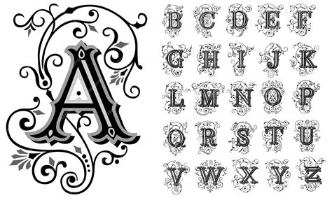 Premium Vector | Vintage decorative font alphabet vector set of hand drawn decorative alphabet ...