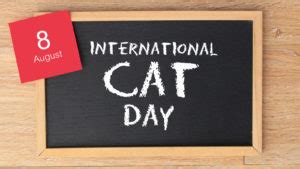 5 International Cat Day Memes to Post on Social Media | InvestorPlace