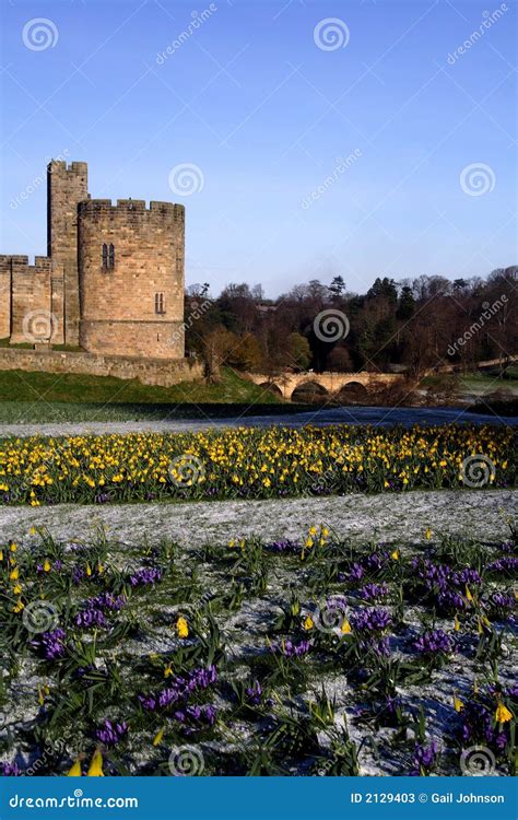 Alnwick castle stock image. Image of alnwick, cold, frosty - 2129403