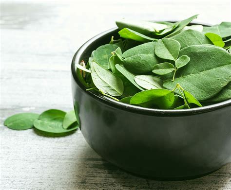 Moringa Skin Benefits Benefits for a Great Complexion