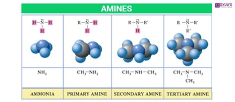 Amines - Formula, Structure, Nomenclature, Classification, Preparation ...