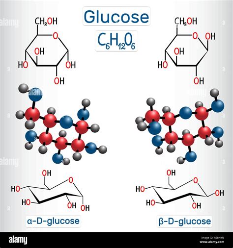 Alpha Glucose Model