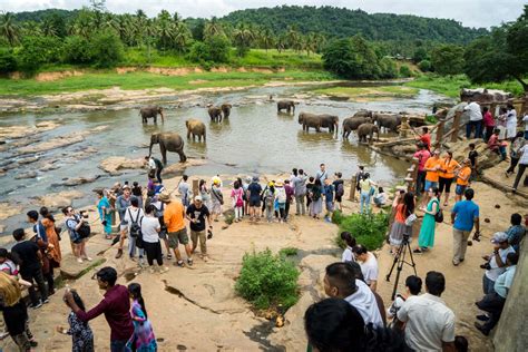 Addressing concerns about Pinnawala Elephant Orphanage, Sri Lanka