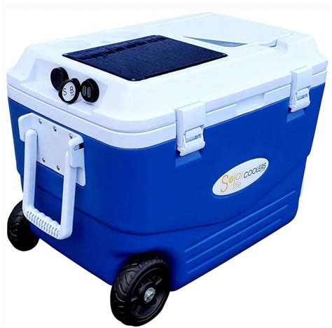 Top 10 Best Wheeled Coolers for Camping in 2021 Reviews | Guide