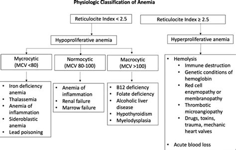 Classification of Anemia - Medical Surgical