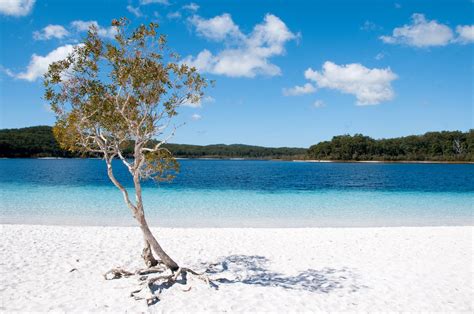 Tourism: Fraser Island