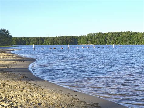 Jimmie Davis State Park on Caney Lake | The Heart of Louisiana