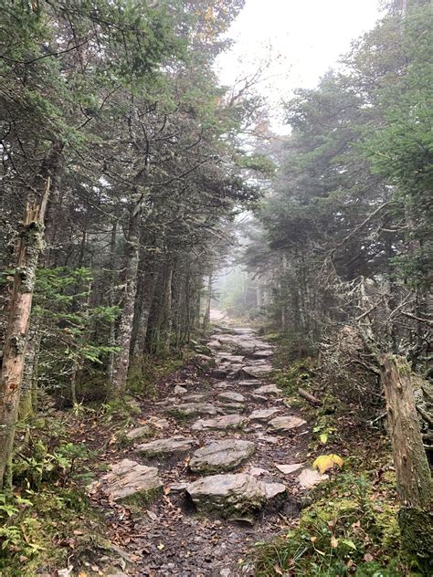 Best Hikes in Green Mountain National Forest (NH) - Trailhead Traveler