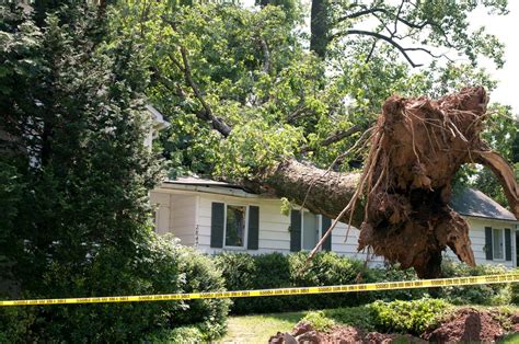 Storm Damage Repair Services | Best Option Restoration