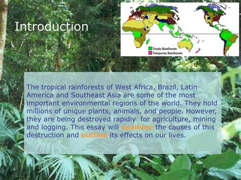 PPT - Rainforest Destruction : Causes and Effects PowerPoint Presentation - ID:296723