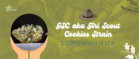 A Comprehensive Review Of GSC Aka Girl Scout Cookies Strain - 420 ...