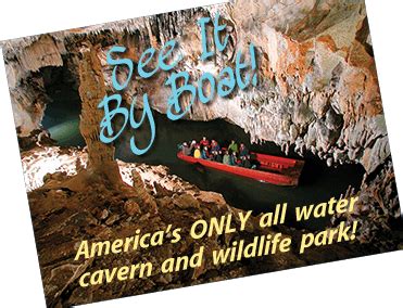 Penn's Cave - America's Only All Water Cavern and Wildlife Park | Wildlife park, Cave tours, Cavern