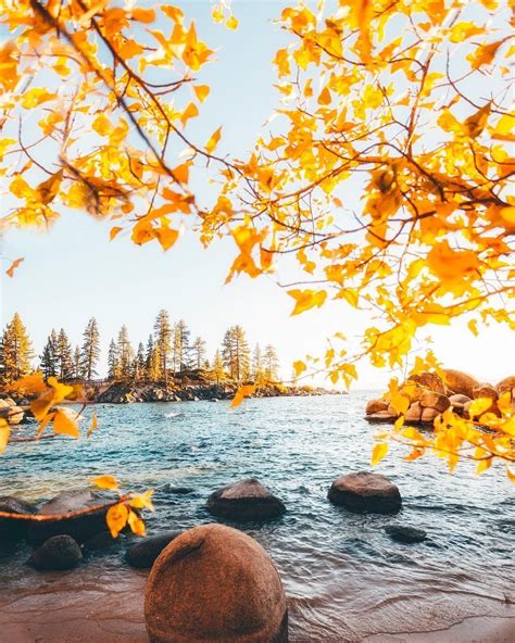 Tahoe’s fall foliage puts us in the perfect autumn mood to sit by the ...