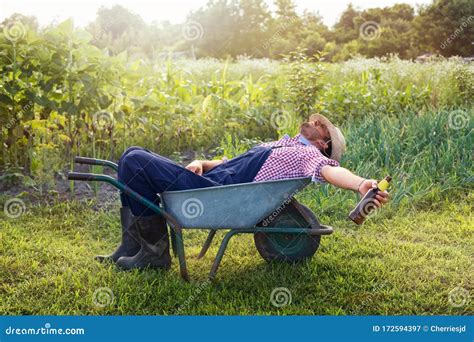 Wheelbarrow On A Green Grass Field. Garden Metal Wheelbarrow Car Stock Photo | CartoonDealer.com ...