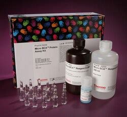 Micro BCA™ Protein Assay Kit