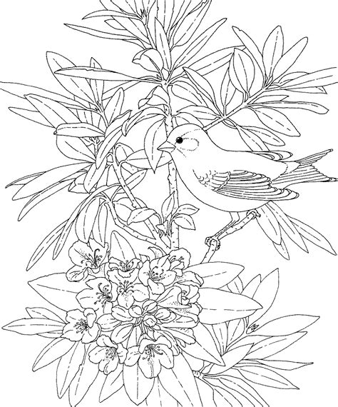 Washington State Coloring Page - Coloring Home