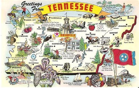 Tennessee Map. | Tennessee state map, Tennessee map, Vintage postcards ...