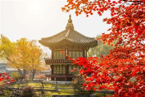 Complete Guide to Fall in Korea (Autumn Leaves Spots)