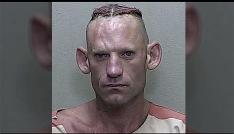 Florida man leaves swamp and gets arrested : r/DonutOperator