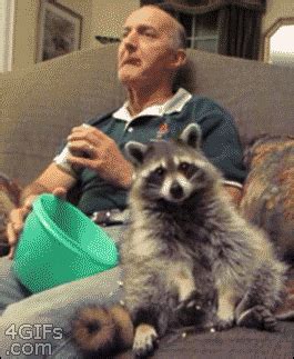 Movie GIF - Find & Share on GIPHY