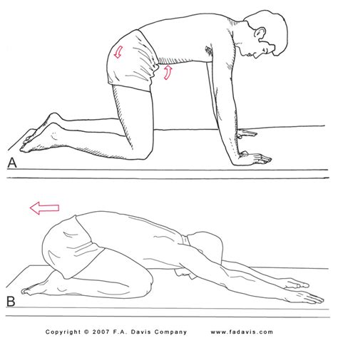 Lumbar Spine: Lumbar Spine Mobility