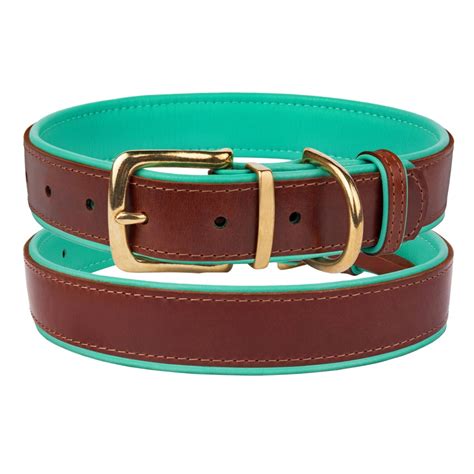 Brass Buckle Leather Dog Collar Small Medium Large Soft Padded Mint Green