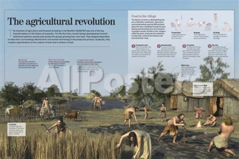 Infographic About the Development Agricultural and Farming Techniques of the Neolithic (8000 BC ...