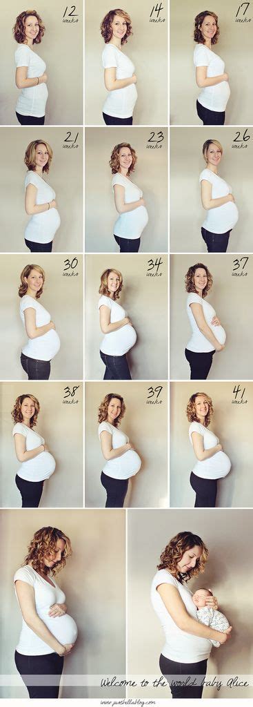 Pregnant Belly Stages By Week