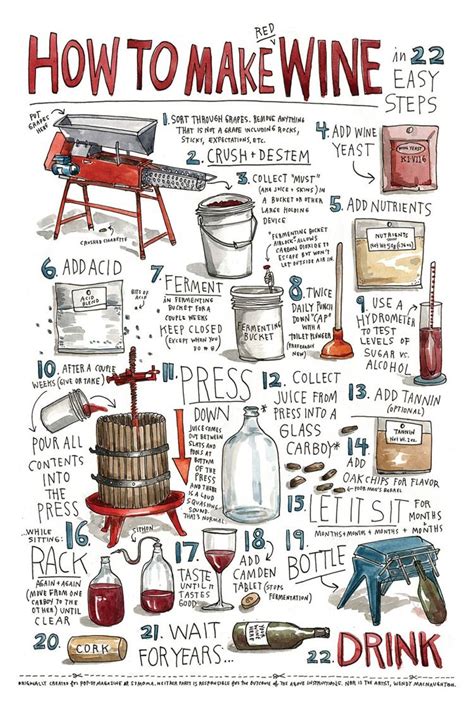 How to Make Wine in 22 Easy Steps! | Wine making, Homemade wine, Wine and spirits