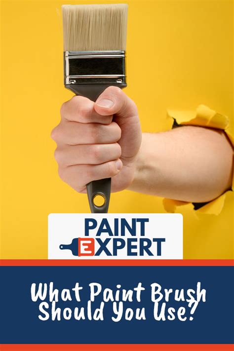 What Paint Brush To Use When? HOME DIY TIPS | Paint brushes guide, Paint brush sizes, Paint brushes