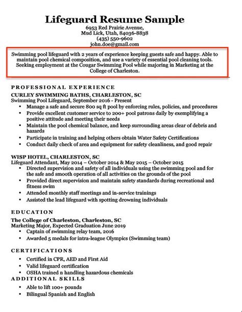 Resume Objective Examples for Students and Professionals