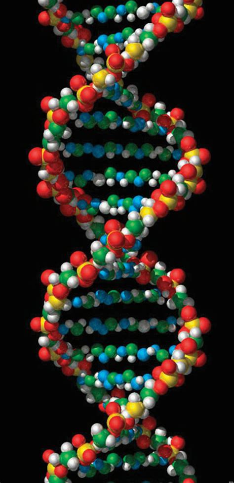 Origin Of Life: New Study Spotlights Not Chemistry But How Living ...